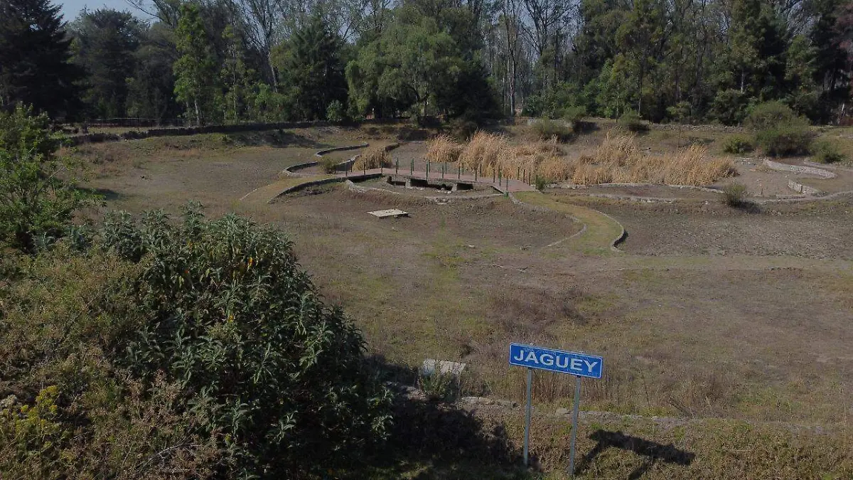 Proyecto de Santuario de Ajolotes en Santa María Xonacatepec 1